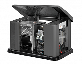 Газовый генератор Briggs&Stratton G110 фото 2